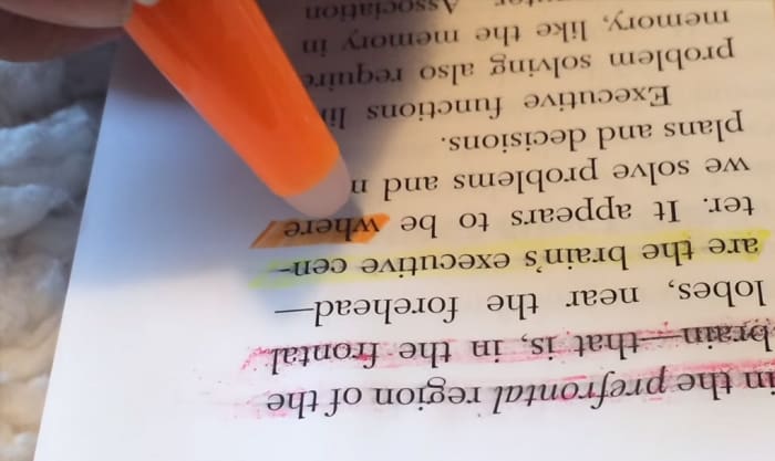 bic-erasable-highlighters