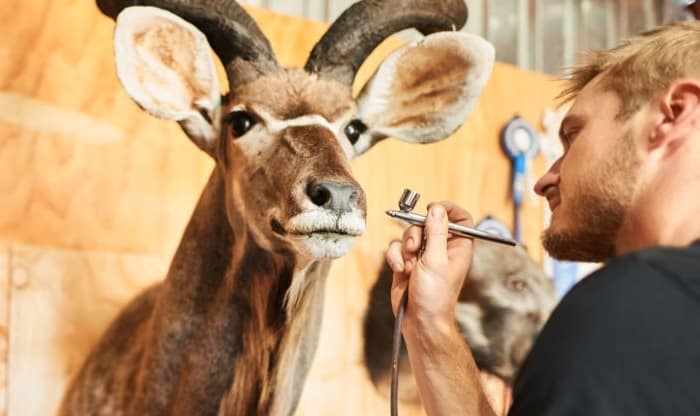 best-airbrushes