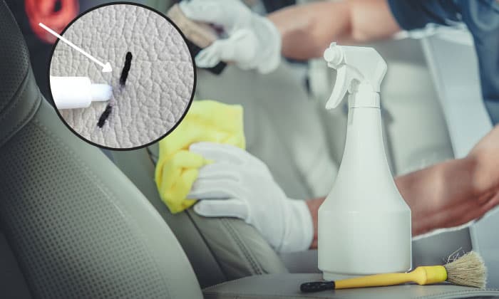remove-sharpie-from-car-interior